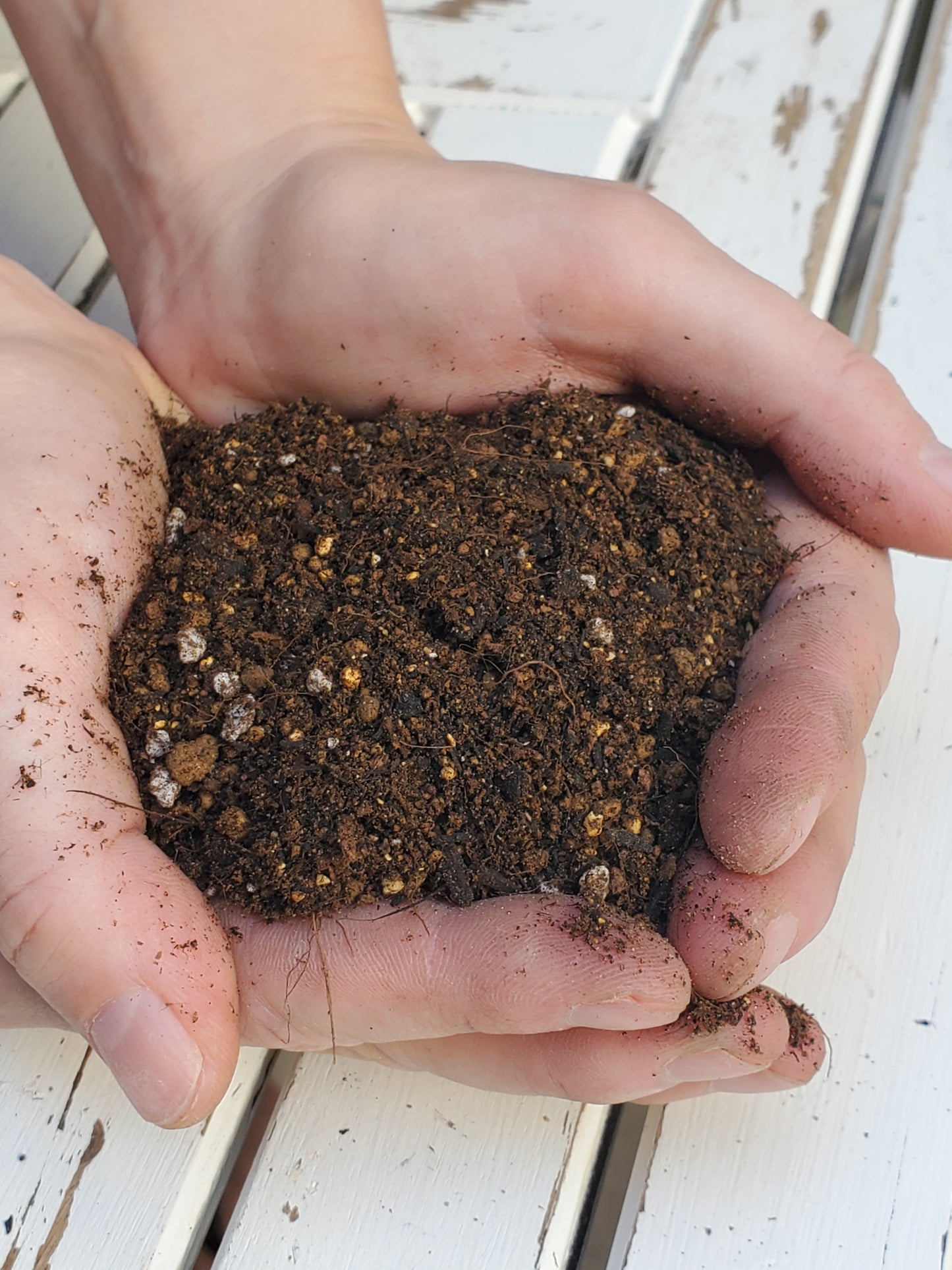 Soil for Gardening 10L