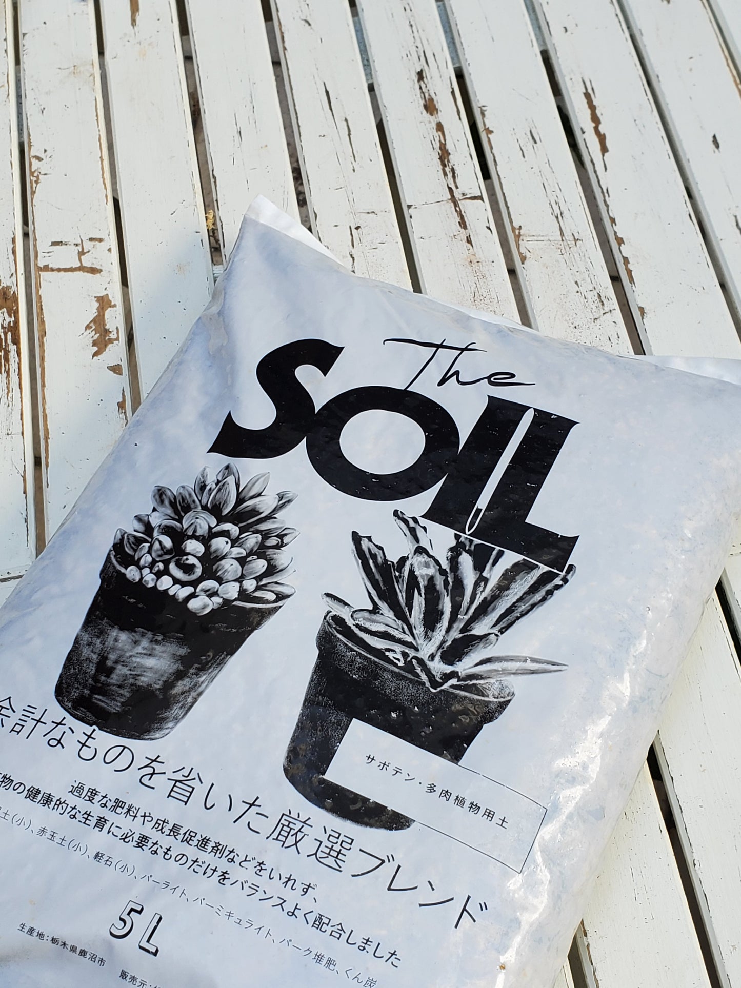 Soil For Cactus & Succulents 5L