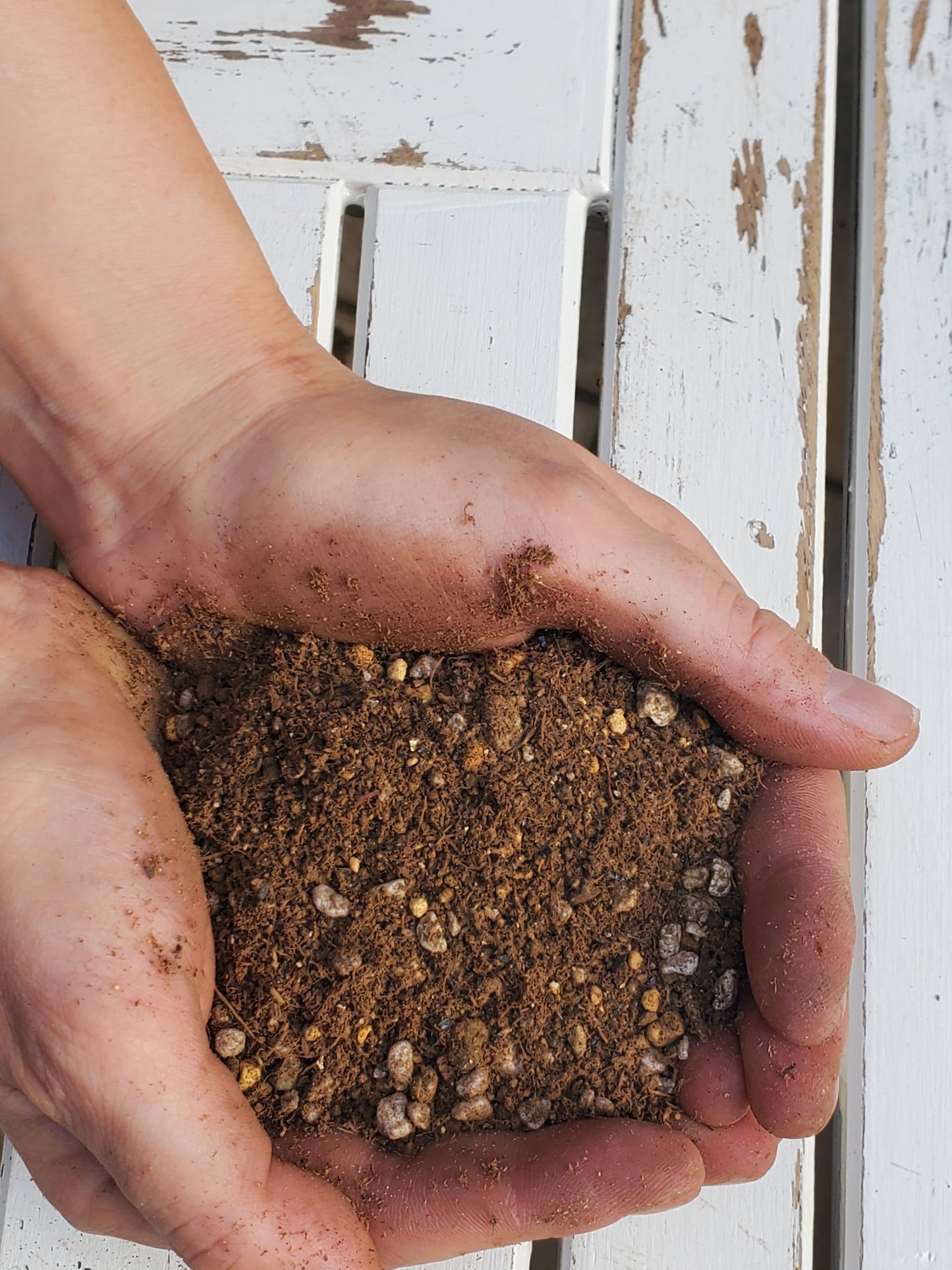 Soil For Houseplants 10L