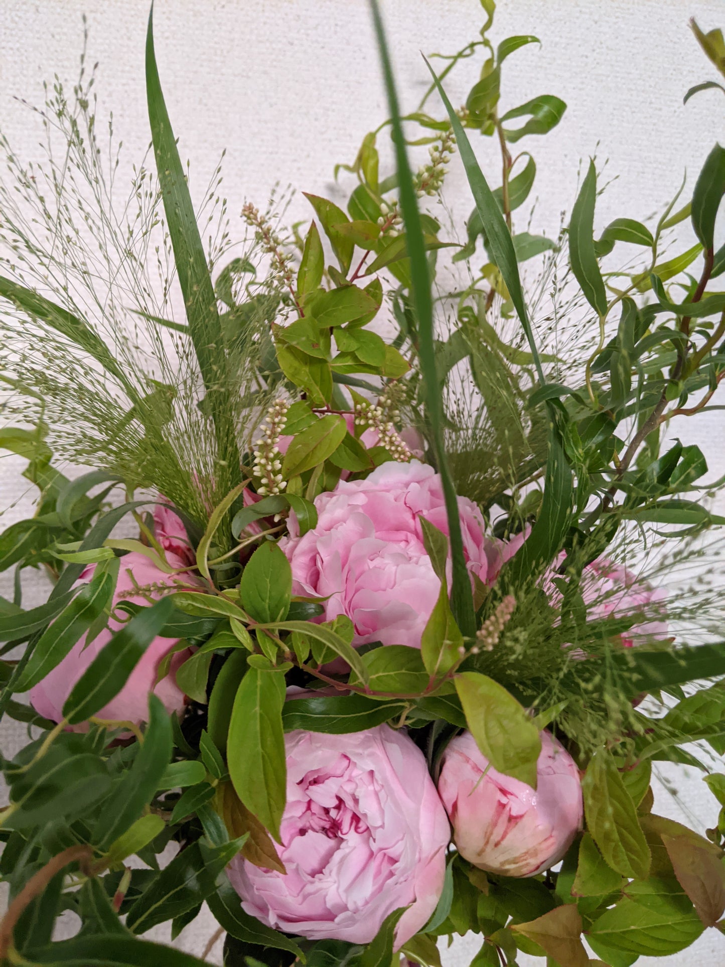 【店頭受取】Peony Bouquet