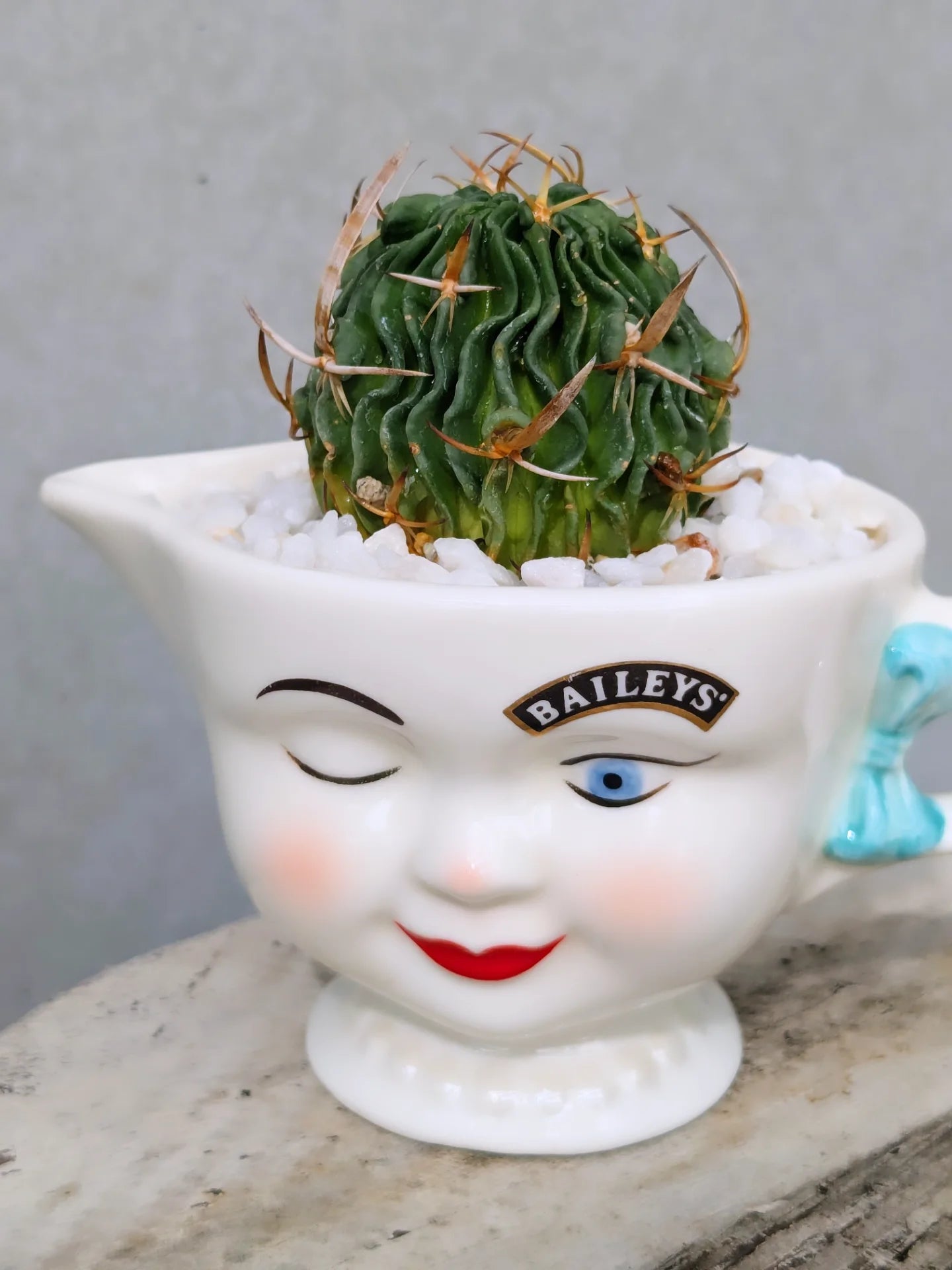 Bailey's Cup Cactus Girl Ver.