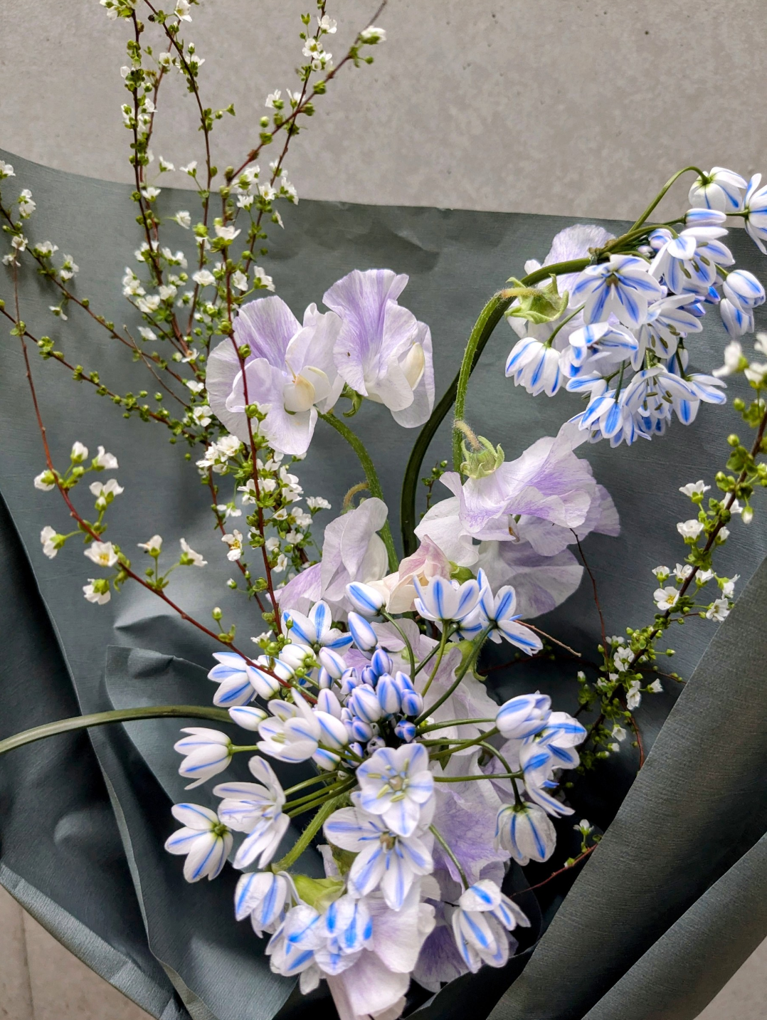 【配送】お花の定期便