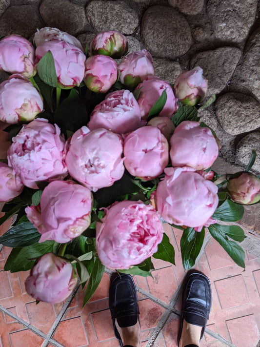【店頭受取】Peony Arrangement