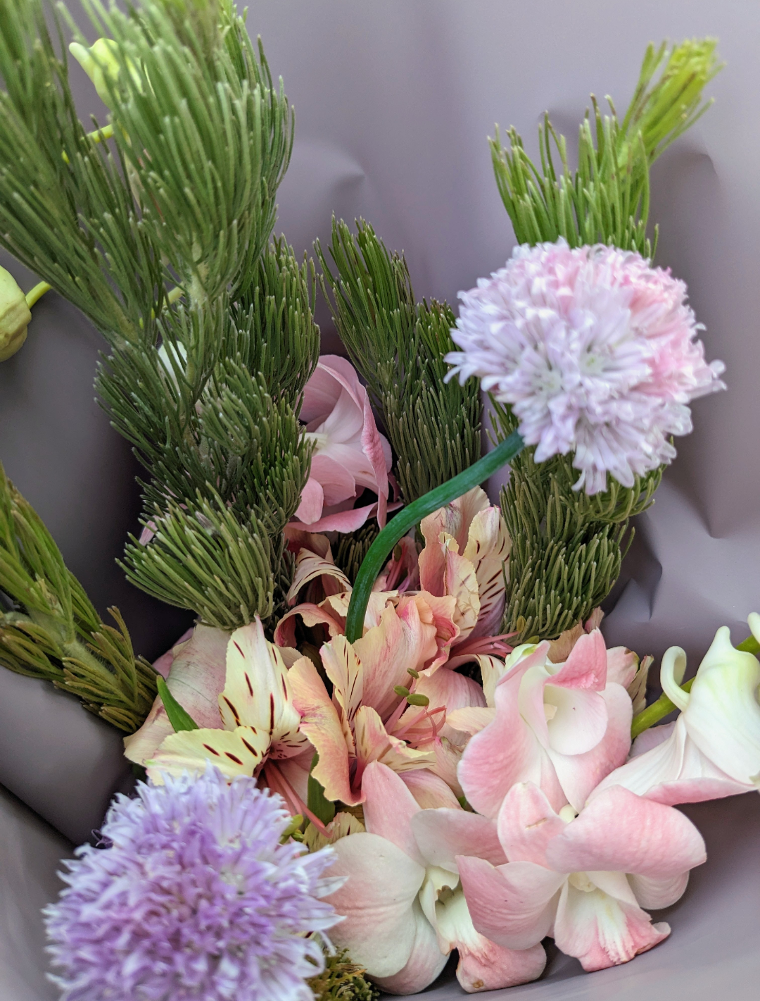【配送】お花の定期便